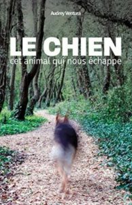 Le chien cet animal qui nous échappe