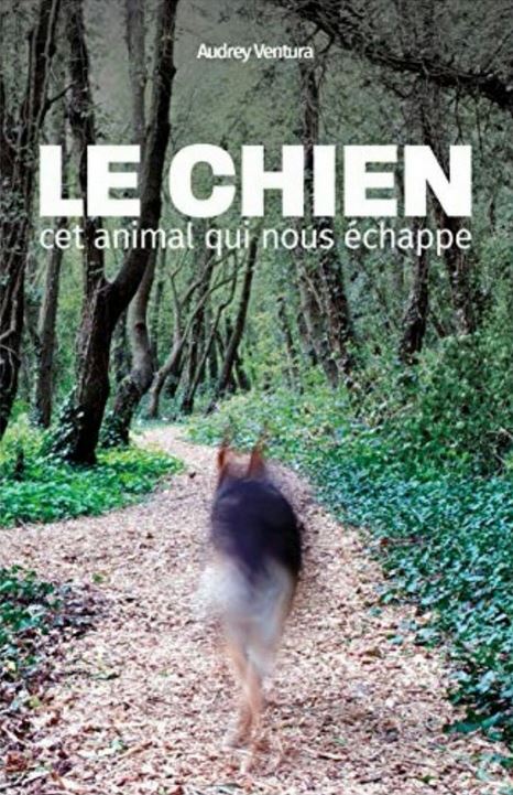 Le chien cet animal qui nous échappe