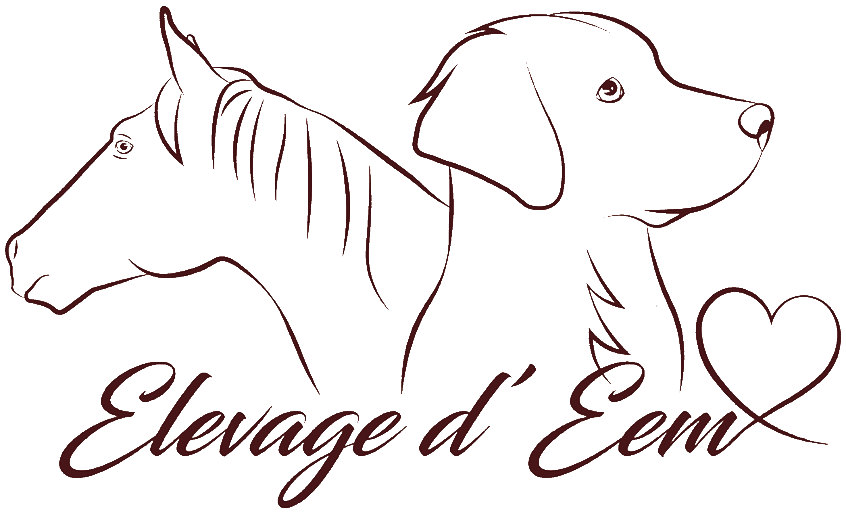 Elevage chiens et chevaux EEM